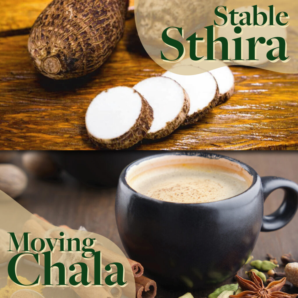 Sthira-Chala